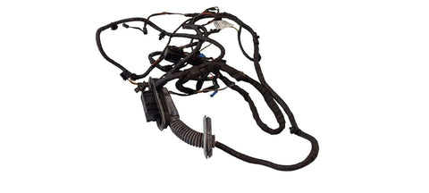 BMW 5 SERIES Front door wiring loom OEM 9256002