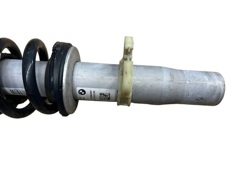 BMW 8 SERIES Front shock absorber with coil spring OEM 31307856895