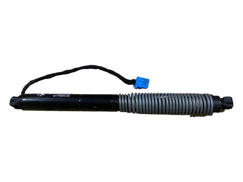 BMW 7 SERIES Tailgate/trunk strut/damper OEM 51248499572