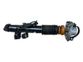 BMW X6 Rear shock absorber/damper OEM 0G93007
