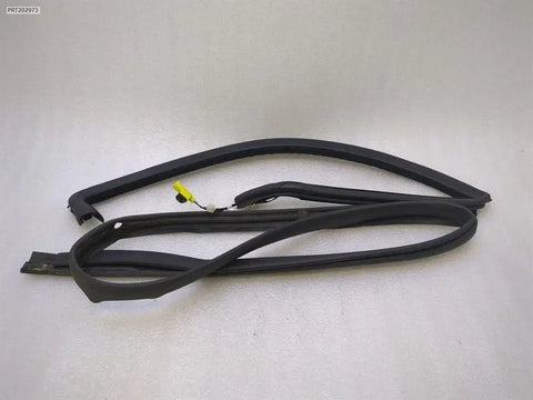 Aston Martin RAPIDE Door Seal AD43-F20708-FB