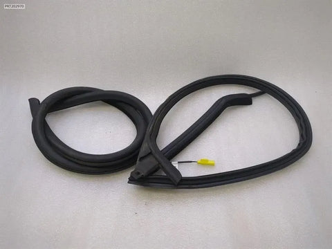 Aston Martin RAPIDE Door Seal AD43-F20709-EB
